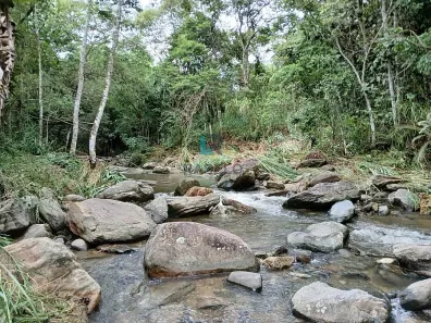 com 3 Quartos à venda, 38m² no , Bananal