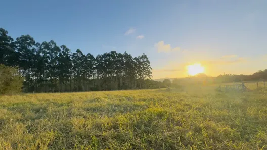 Lote/Terreno à venda, 800m² no Águas Claras, Viamão