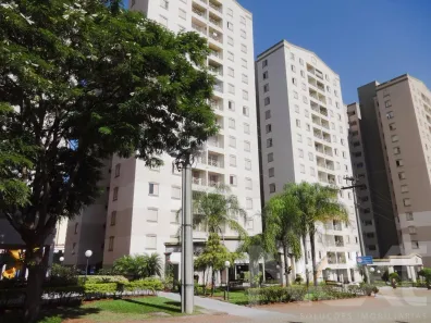 Apartamento com 3 Quartos para alugar, 70m² no Mansões Santo Antônio, Campinas