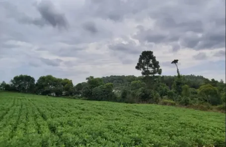 Lote/Terreno à venda, 257815m² no Lençol, São Bento do Sul