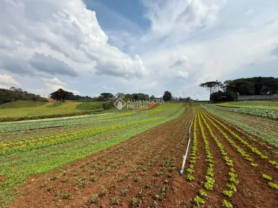 Lote/Terreno à venda, 13485m² no Butiatumirim, Colombo