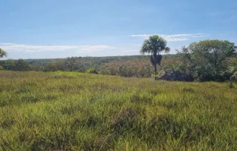 Fazenda/Sítio à venda, 9720000m² no Setor Central, Novo Acordo