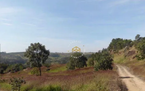 Lote/Terreno à venda, 24500m² no Chácaras Alpina, Valinhos