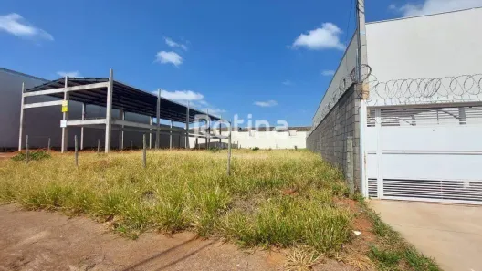 Lote/Terreno para alugar, 600m² no Alto Umuarama, Uberlândia