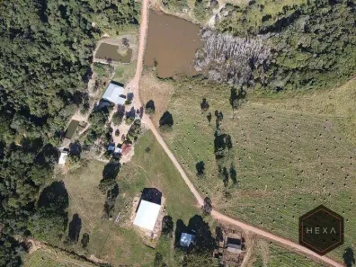 Fazenda/Sítio com 5 Quartos à venda, 1000m² no Recanto das Acácias, Barra do Garças