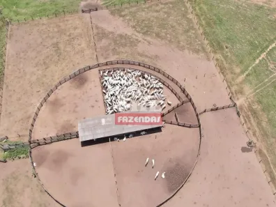 Fazenda/Sítio à venda, 500m² no , Cocalinho