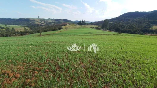 Fazenda/Sítio à venda, 212960m² no Zona Rural, Tamarana
