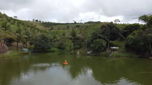 Fazenda/Sítio com 6 Quartos à venda, 81000m² no , Chã Grande