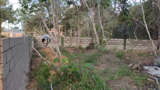 Lote/Terreno à venda, 281m² no Arraial D'Ajuda, Porto Seguro
