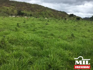 Fazenda/Sítio à venda, 500m² no , Confresa