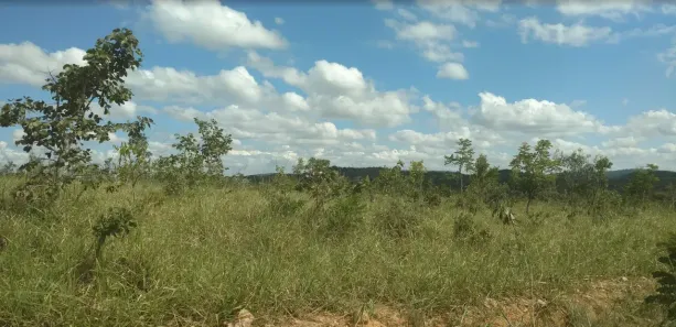 Lote/Terreno à venda, 20000m² no , Cordisburgo