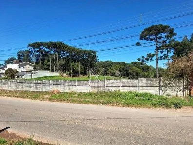 Lote/Terreno à venda, 5544m² no Novo Mundo, Curitiba