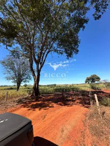 Fazenda/Sítio com 3 Quartos à venda, 16m² no Setor Central, Santa Bárbara de Goiás