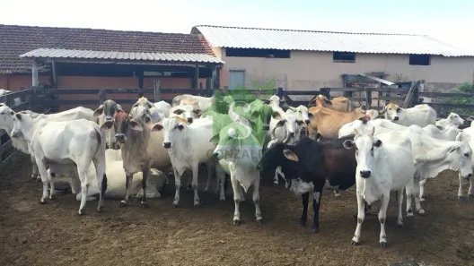 Fazenda/Sítio à venda, 2516800m² no Fazendinha, Araruama