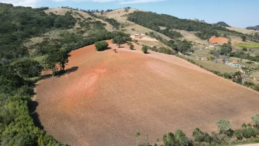 Fazenda/Sítio com 3 Quartos à venda, 726000m² no Itapeva, Itapeva