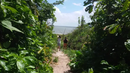 Lote/Terreno à venda, 280000m² no Novo Cohatrac, São José de Ribamar