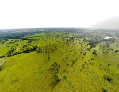 Fazenda/Sítio com 3 Quartos à venda, 70m² no Setor Central, Araguaína