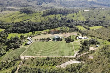 Imóvel Comercial com 8 Quartos à venda, 540000m² no Sao Joao Batista Do Gloria, São João Batista do Glória