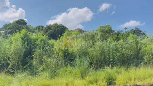 Lote/Terreno à venda, 615m² no Parque dos Cocais, Valinhos