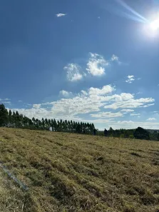 Lote/Terreno à venda, 1000m² no Jardim Vitoria, Mairinque