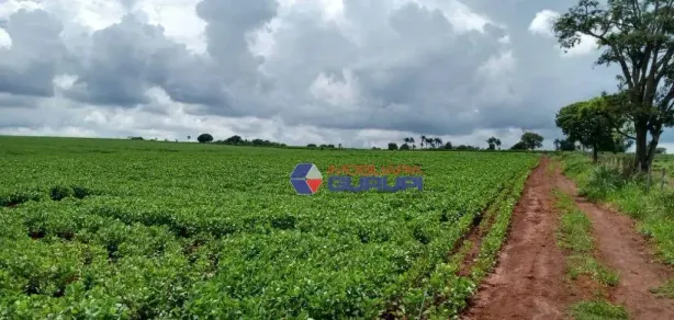 Fazenda/Sítio com 1 Quarto à venda, 2662000m² no Vila Dalva, São Sebastião do Paraíso