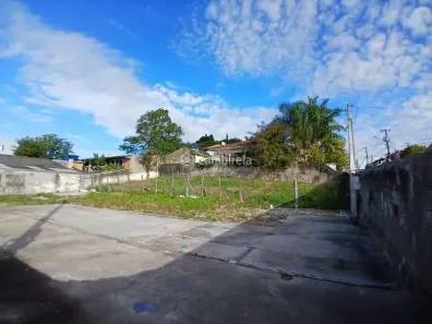 Lote/Terreno para alugar, 350m² no Forquilhas, São José