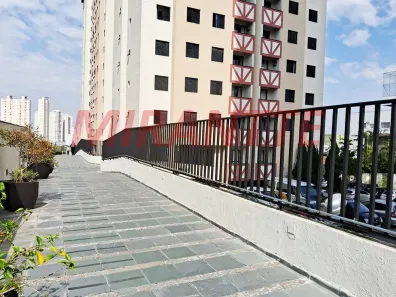 Apartamento com 3 Quartos à venda, 69m² no Parque Mandaqui, São Paulo