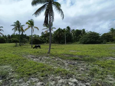 Lote/Terreno à venda, 450m² no , Ipojuca