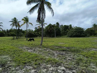 Lote/Terreno à venda, 450m² no Porto de Galinhas, Ipojuca