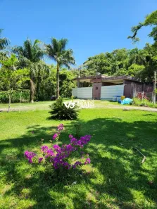Fazenda/Sítio com 3 Quartos à venda, 120m² no Alexandra, Paranaguá