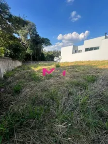 Lote/Terreno à venda, 350m² no Jardim Quintas das Videiras, Jundiaí