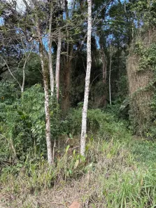 Fazenda/Sítio à venda, 67000m² no Área Rural de Jaraguá do Sul, Jaraguá do Sul