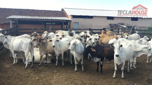 Fazenda/Sítio com 3 Quartos à venda, 520000m² no São Vicente de Paula, Araruama