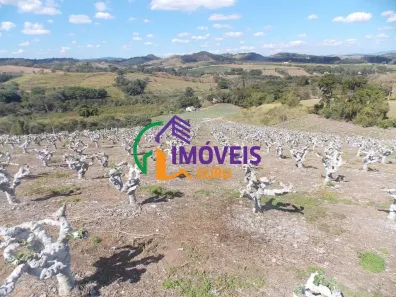 Fazenda/Sítio com 4 Quartos à venda, 150m² no Macuco, Valinhos