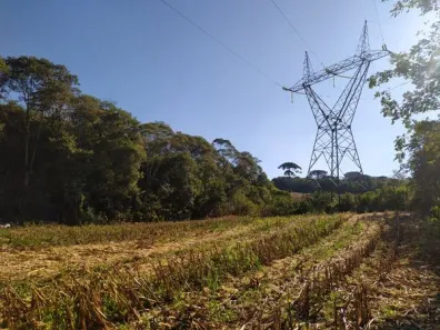 Lote/Terreno à venda, 12700m² no Botiatuba, Almirante Tamandaré