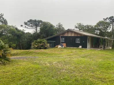 Fazenda/Sítio à venda, 4800m² no Paiol de Baixo - Campina Grande do Sul, Campina Grande do Sul