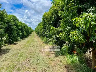 Fazenda/Sítio à venda, 857000m² no , Matias Cardoso