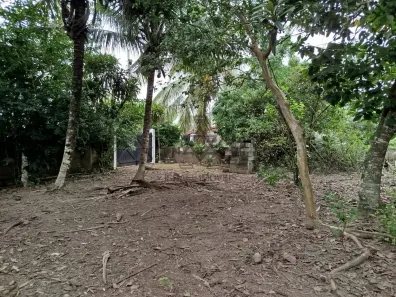 Lote/Terreno à venda, 1126m² no Praia das Palmeiras, Caraguatatuba