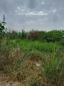 Lote/Terreno à venda, 282m² no Jardim Nova Michigan, São José dos Campos