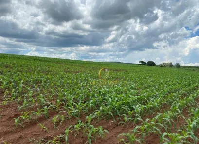 Fazenda/Sítio com 3 Quartos à venda, 5808000m² no Área Rural de Avaré, Avaré
