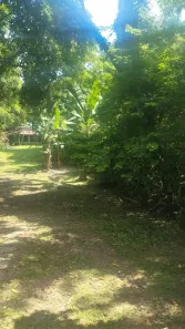 Fazenda/Sítio com 1 Quarto à venda, 1500m² no Papucaia, Cachoeiras de Macacu