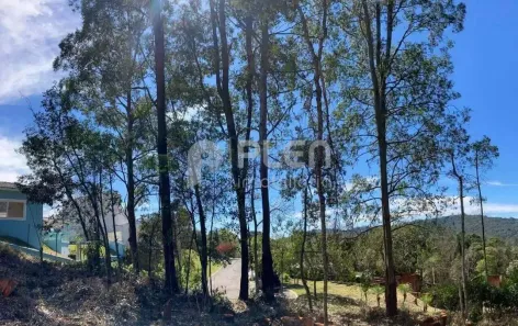 Lote/Terreno à venda, 1575m² no Roseira, Mairiporã