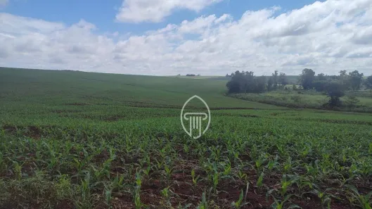 Fazenda/Sítio à venda, 6606600m² no Zona Rural, Cornélio Procópio