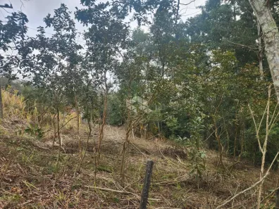 Fazenda/Sítio à venda, 20000m² no Monte Alverne, Santa Cruz do Sul