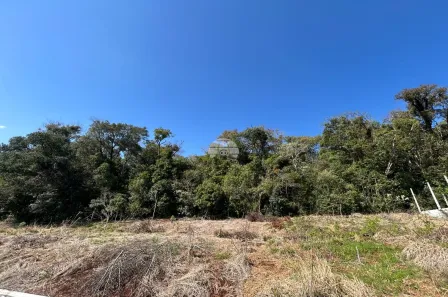 Lote/Terreno à venda, 391m² no São Francisco, Pato Branco