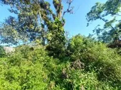 Lote/Terreno à venda, 280m² no Jardim Coronel, Itanhaém