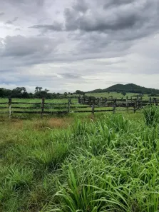 Fazenda/Sítio com 6 Quartos à venda, 33m² no Setor Central, Montes Claros de Goiás