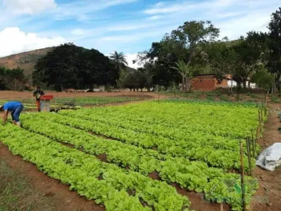 Fazenda/Sítio com 2 Quartos à venda, 343m² no , Paraíba do Sul