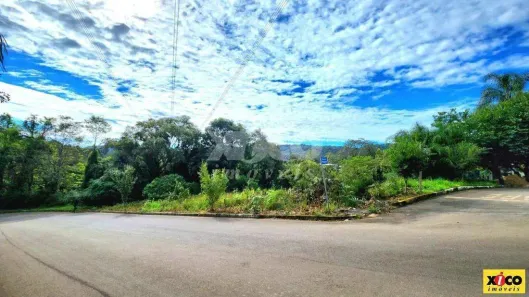 Lote/Terreno à venda, 5000m² no , Nova Petrópolis