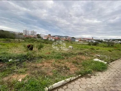 Lote/Terreno à venda, 360m² no Areias, São José